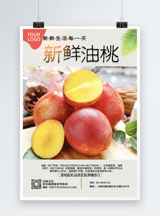 新鲜油桃新品水果海报图片