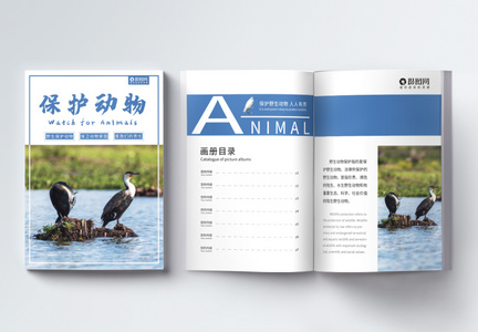 保护动物公益宣传画册整套图片