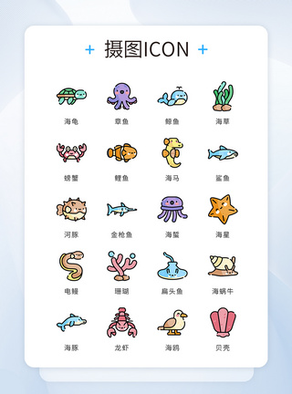 动物iconui设计icon图标海洋生物模板