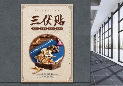 中国风三伏贴养生海报高清图片