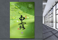 绿色清新中国传统二十四节气之白露海报图片