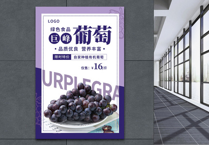 葡萄宣传海报设计高清图片