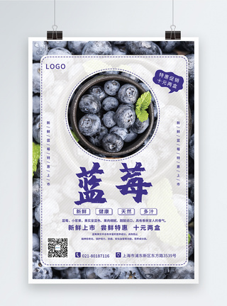水果蓝莓促销海报设计图片