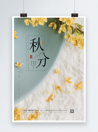 桂花节二十四节气秋分海报模板