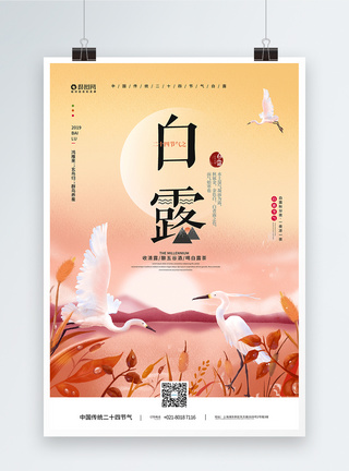白鹭中国传统二十四节气白露宣传海报模板