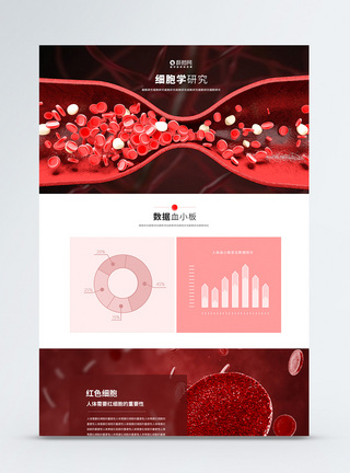 红细胞医学生物科技WEB官网首页图片