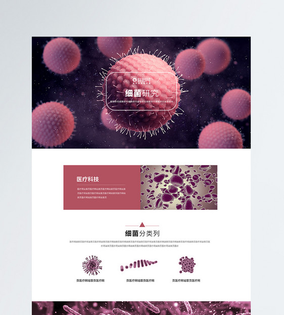 细菌科学医疗web官网首页图片