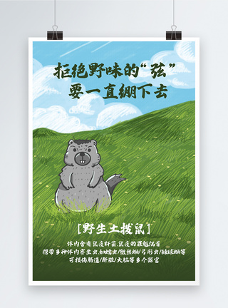 拒绝野味公益文化宣传海报之野生土拨鼠野生动物高清图片素材