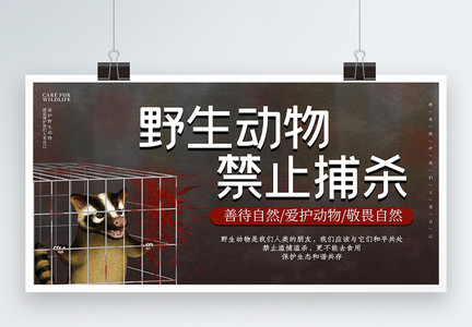 禁止捕杀野生动物公益展板图片