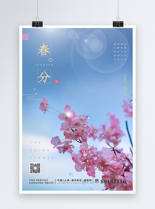 清新桃花春分节气海报图片