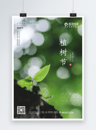 清新简约绿色嫩芽植树节海报图片