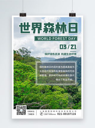抖森世界森林日保护森里宣传海报模板