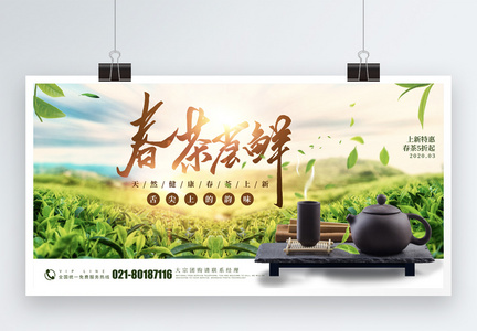 绿色春茶尝鲜促销展板图片