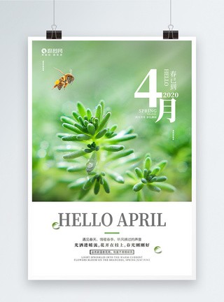 蜜蜂清新你好四月踏青旅游海报模板