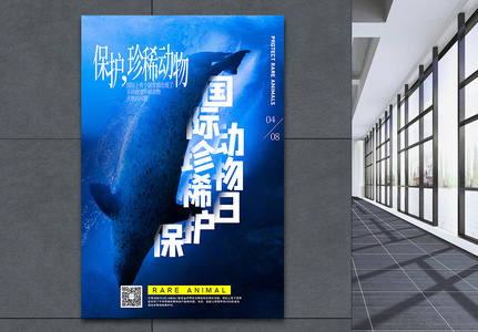 蓝色国际珍稀动物保护日海报图片