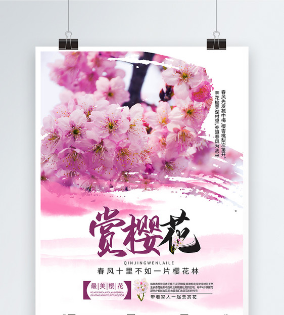 春季赏樱花海报图片
