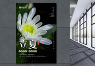 中国风立夏传统节气宣传海报图片