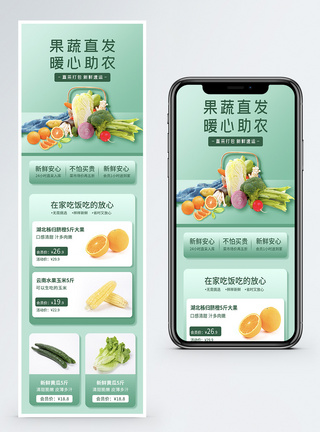 果蔬生鲜生鲜零售助农扶贫H5营销长图模板