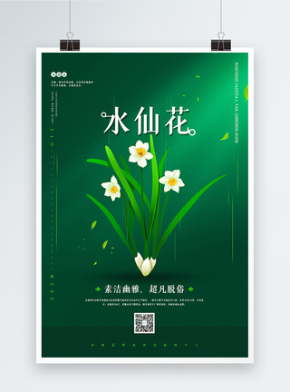绿色极简水仙花宣传海报图片