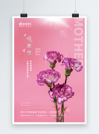 简约康乃馨母亲节礼物节日海报图片