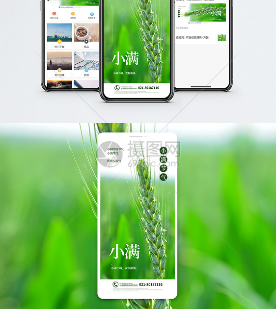小满节气手机海报配图图片