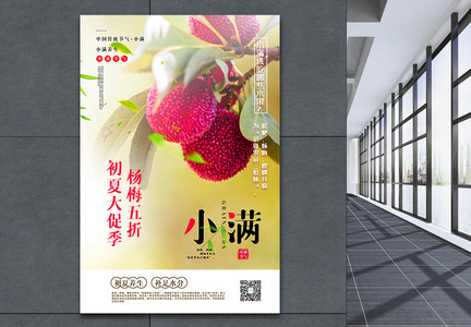 杨梅促销小满节气水果促销系列海报图片