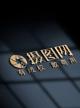 门票样机商标logo样机展示素材模板