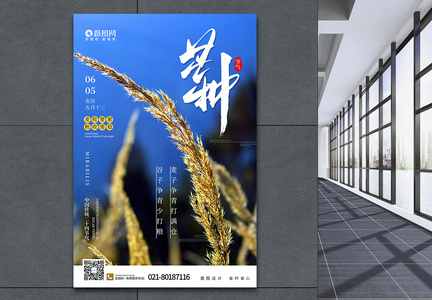 简约中国风芒种节气宣传海报图片