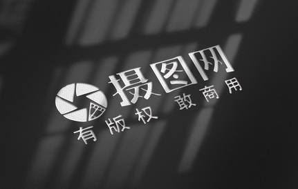 企业商标样机 镂空感logo样机 特种纸张样机图片素材