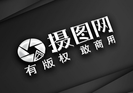 LOGO烫银立体样机模板高清图片