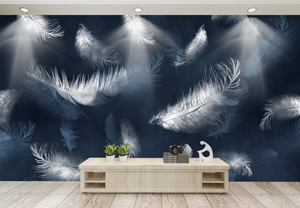 现代简约北欧风手绘羽毛电视背景墙图片