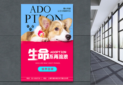 领养宠物公益海报设计图片素材