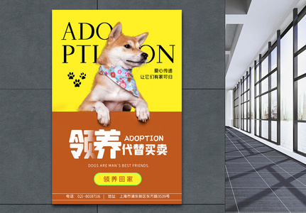 领养宠物公益海报设计系列图片素材