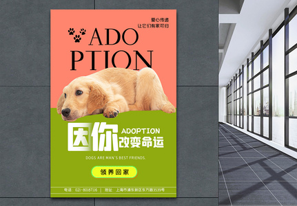 领养宠物公益海报设计系列图片素材