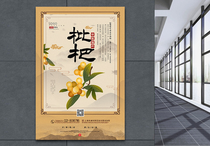 大气中国风枇杷中药材系列海报图片