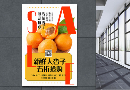 新鲜杏子水果促销海报图片