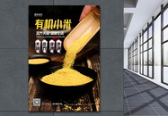 五谷杂粮小米黄小米海报图片