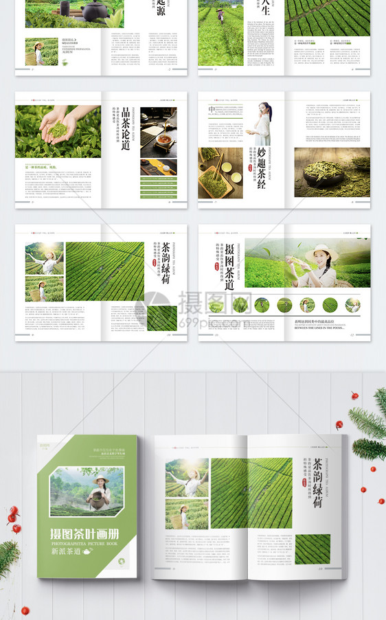 清新绿色茶叶宣传画册整套图片