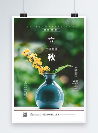 立秋桂花背景海报图片