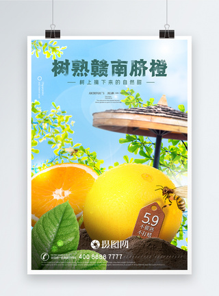 美食广告海报高端精致橙子助农水果海报模板