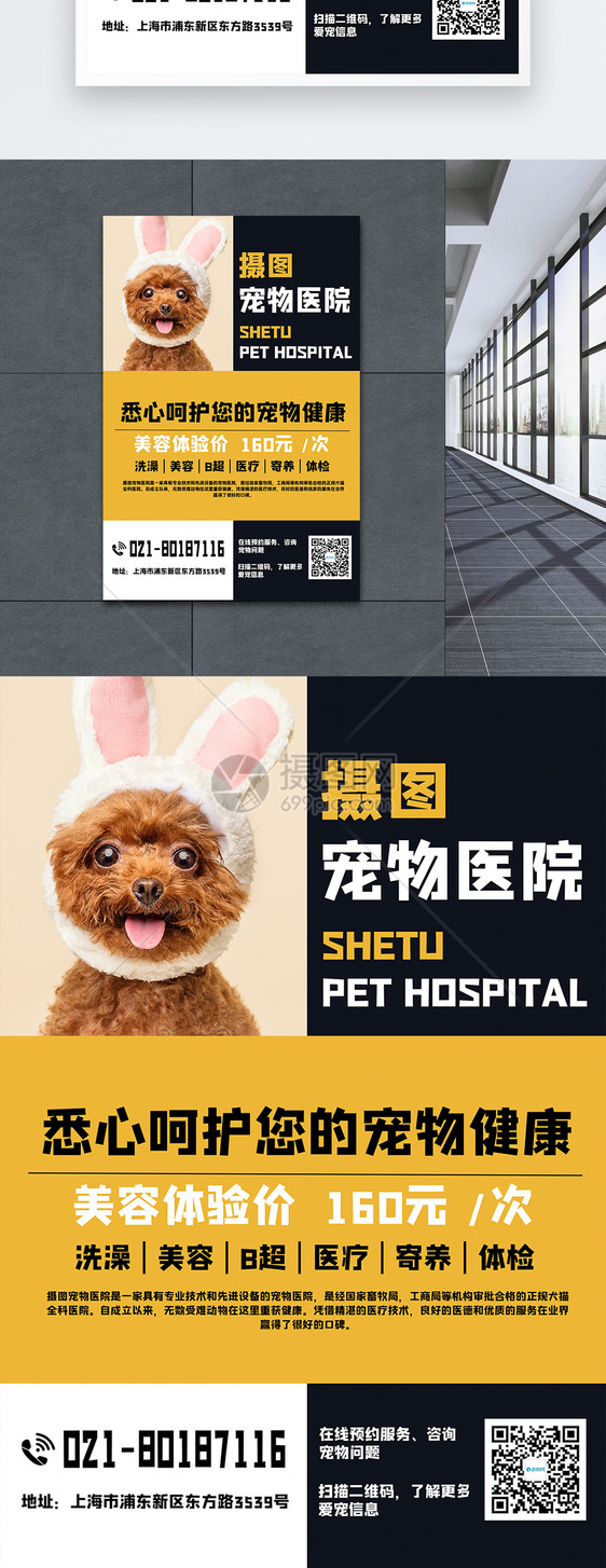 宠物店通用活动宣传海报图片
