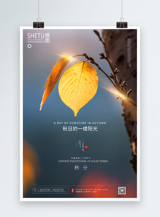 阳光下的叶子极简写实风秋分节气海报模板