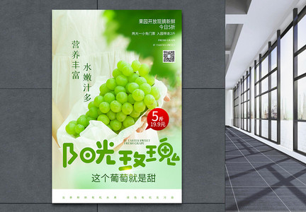 新鲜水果葡萄青提宣传海报图片