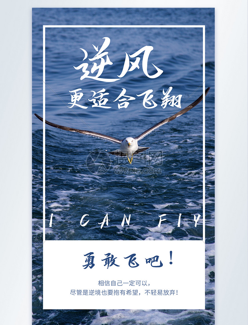 逆风飞翔摄影图海报