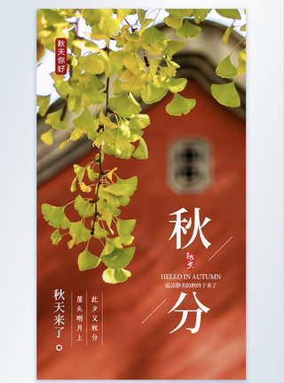 徐州风景红墙银杏秋分摄影海报设计模板