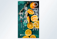赣南脐橙新鲜水果摄影图海报图片
