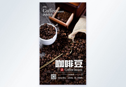 咖啡豆摄影海报图片