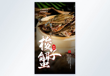 美味梭子蟹促销摄影图海报高清图片