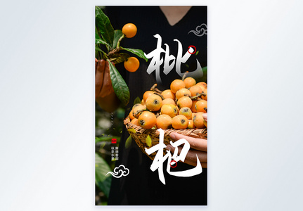 秋季水果之枇杷摄影图海报图片