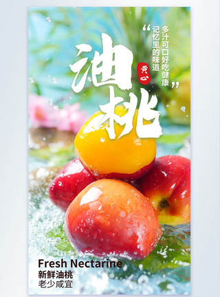 新鲜油桃水果摄影图海报图片